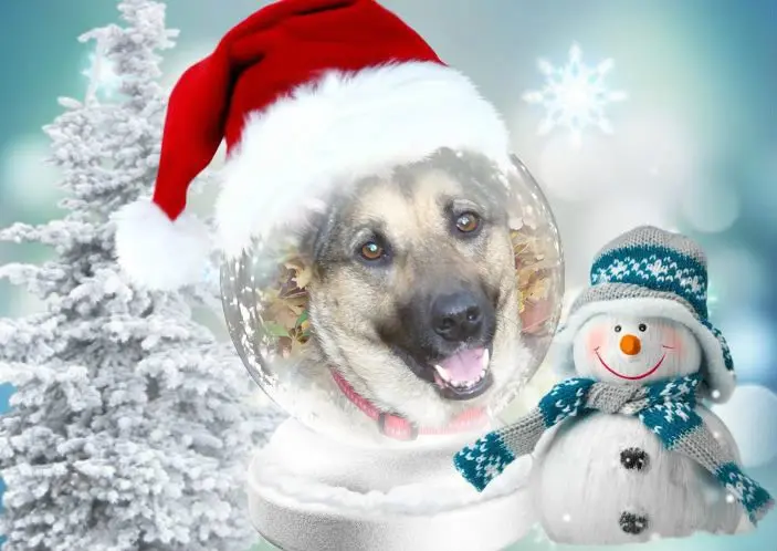 Condolence image of Nikolaus❤️fur Lunchen❤️⭐️und Gabs❤️⭐️