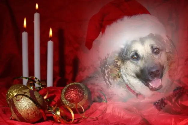Condolence image of 3. Advent❤️❤️❤️Sonntag❤️