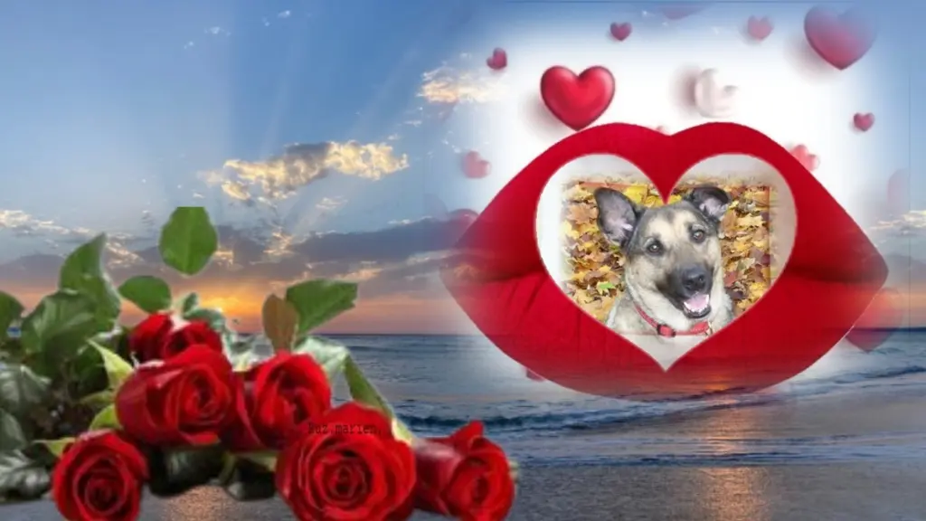 Condolence image of ❤️❤️❤️❤️❤️❤️❤️❤️❤️❤️❤️❤️