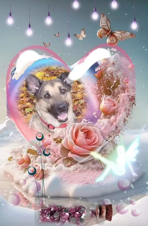 Condolence image of Sonntags❤️Rosenchen❤️❤️❤️❤️❤️❤️