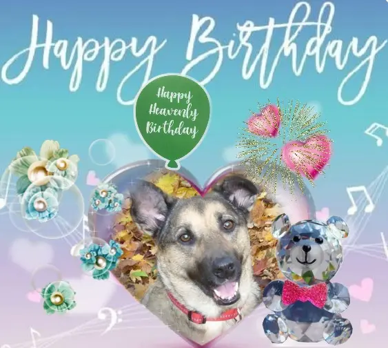 Condolence image of 18. Geburtstag❤️❤️❤️❤️❤️❤️❤️❤️❤️❤️❤️❤️❤️❤️❤️❤️❤️❤️