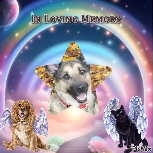 Condolence image of ❤️❤️❤️❤️❤️❤️❤️