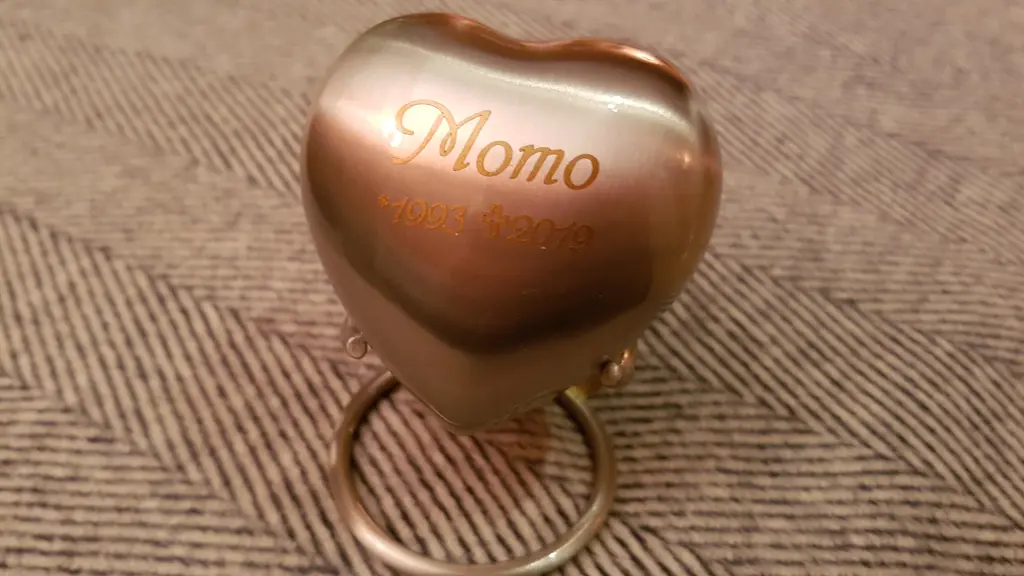 Image from MOMO