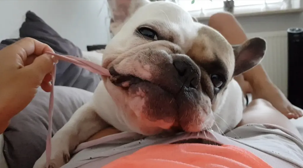 Andachtsbild von Wir vermissen Dich