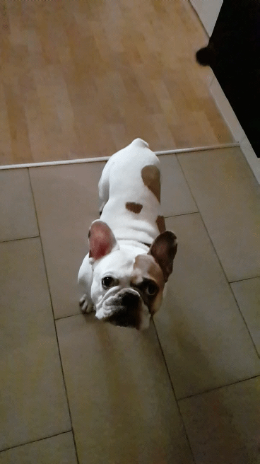 Andachtsbild von Peggy