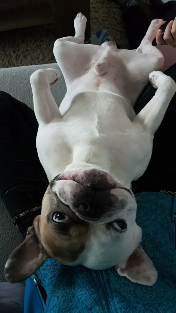 Andachtsbild von Peggy