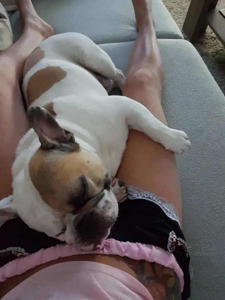 Andachtsbild von Peggy