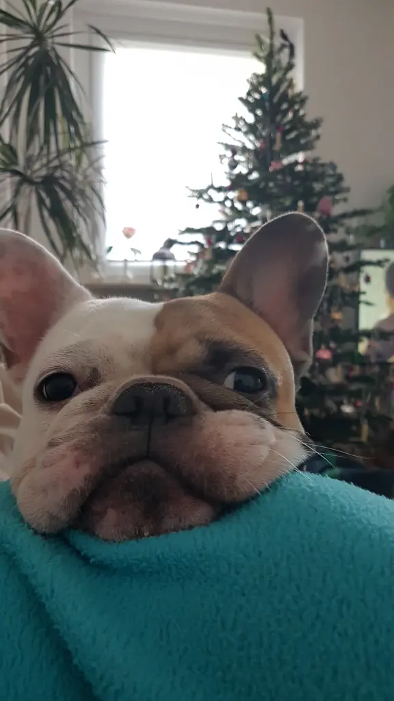 Andachtsbild von Peggy