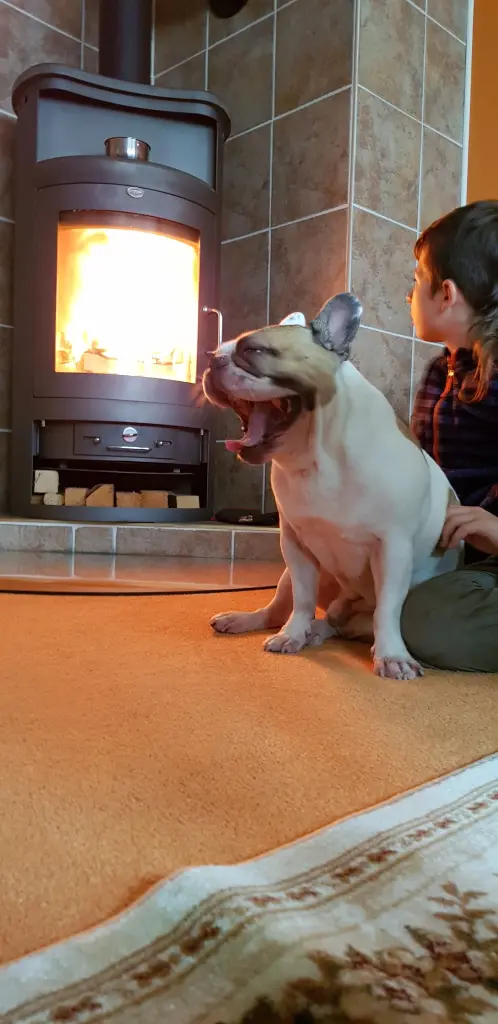 Andachtsbild von Peggy