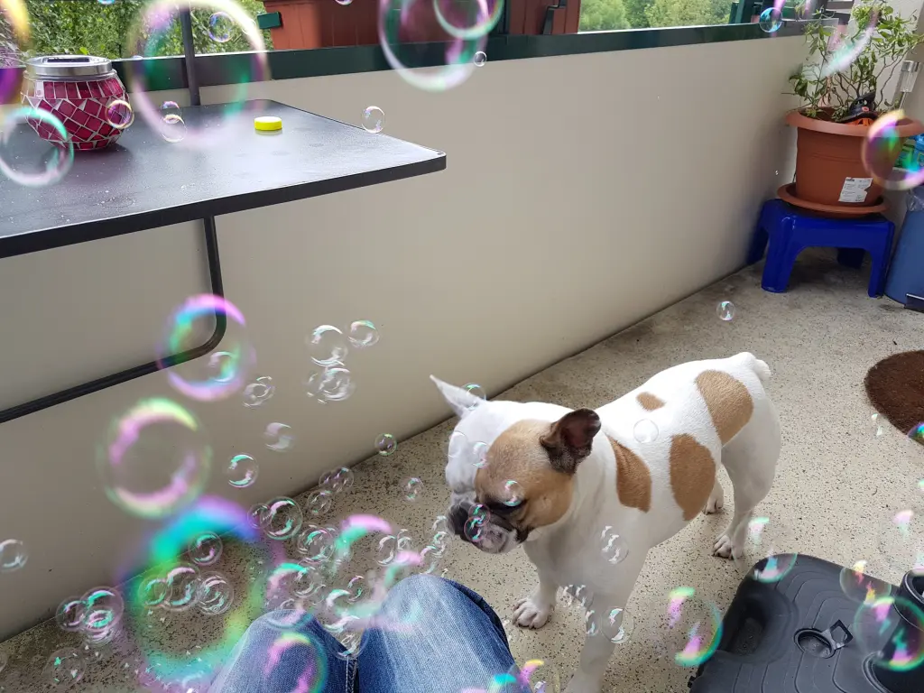 Andachtsbild von Peggy