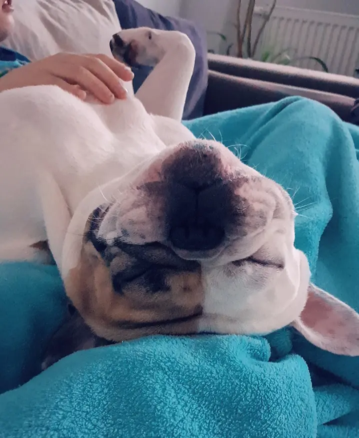 Andachtsbild von Peggy