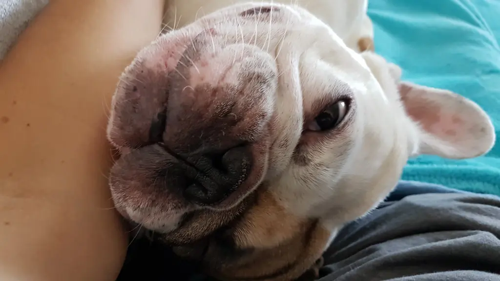 Andachtsbild von Peggy