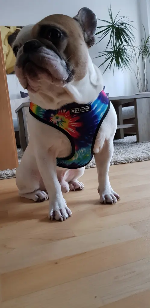 Andachtsbild von Peggy