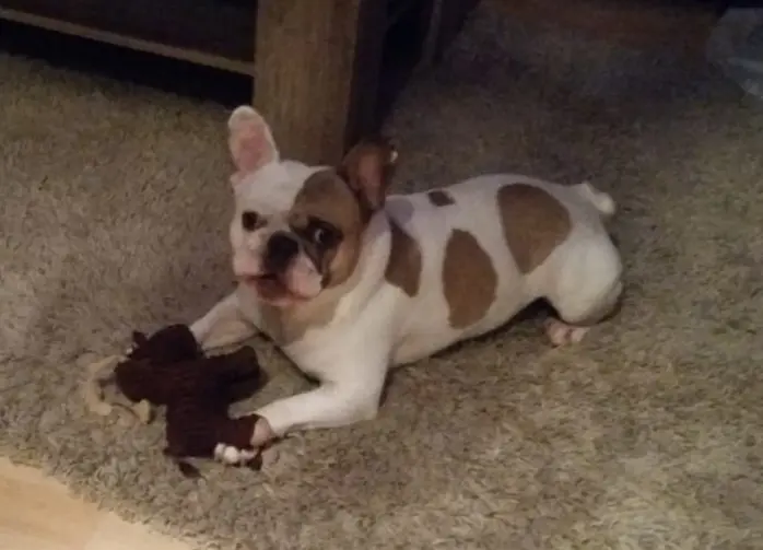 Andachtsbild von Peggy 