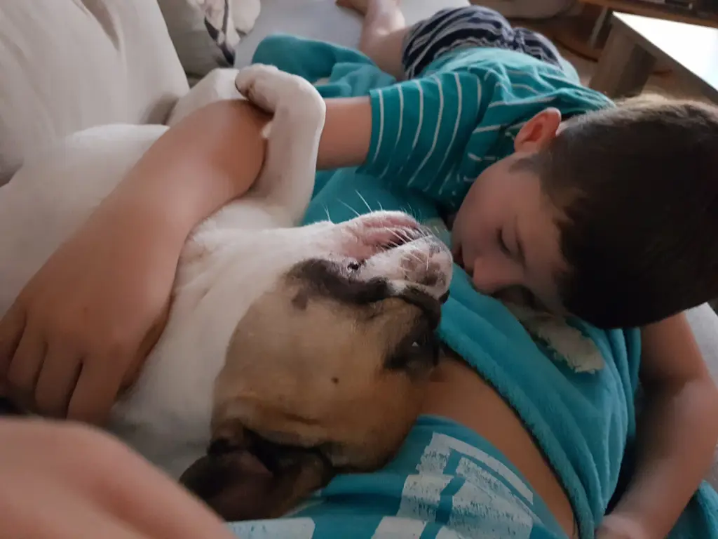 Andachtsbild von Peggy