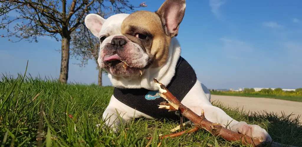 Andachtsbild von Peggy 