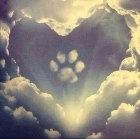 Andachtsbild von Peggy