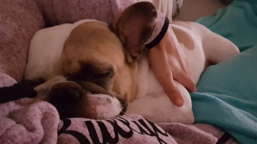 Andachtsbild von Peggy