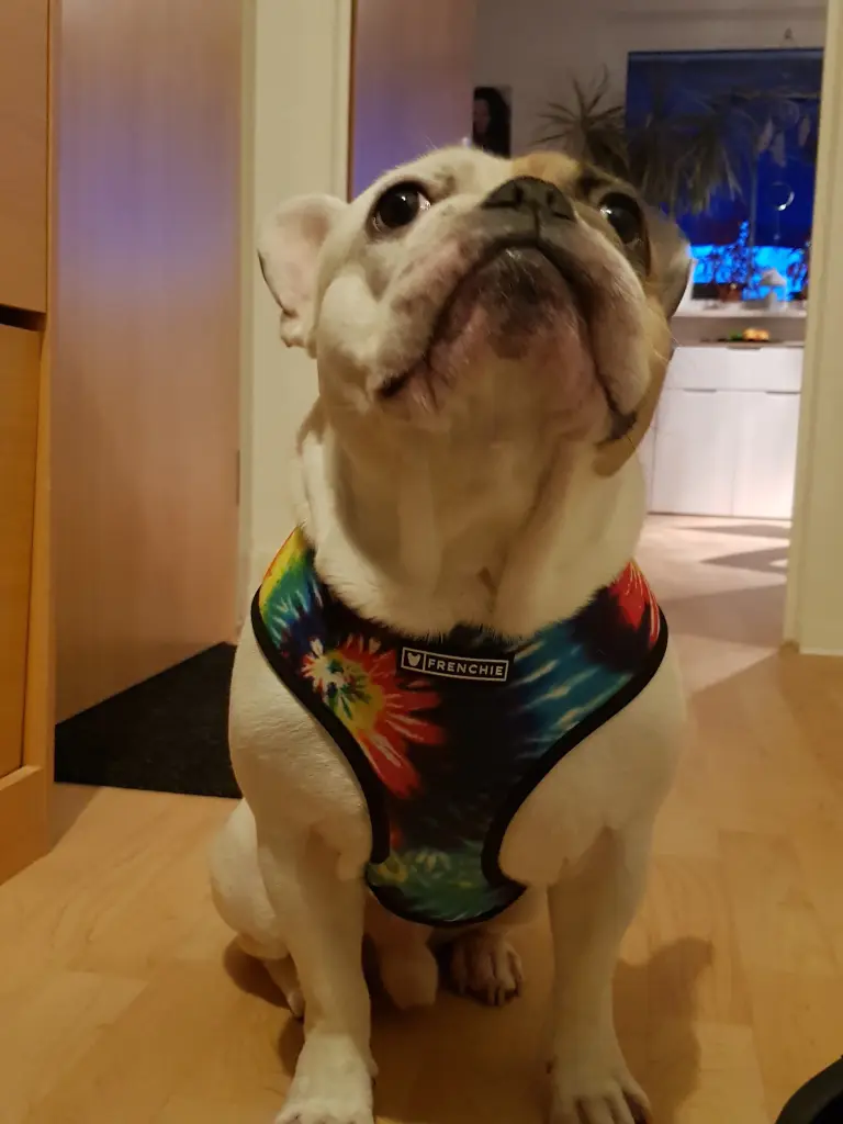 Andachtsbild von Peggy 