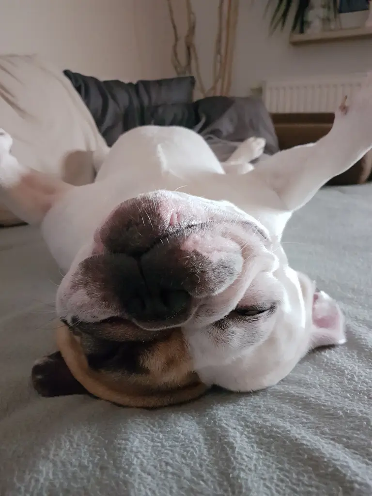 Andachtsbild von Peggy 