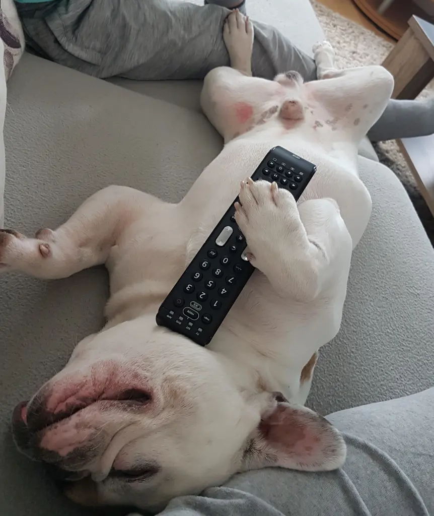 Andachtsbild von Peggy 