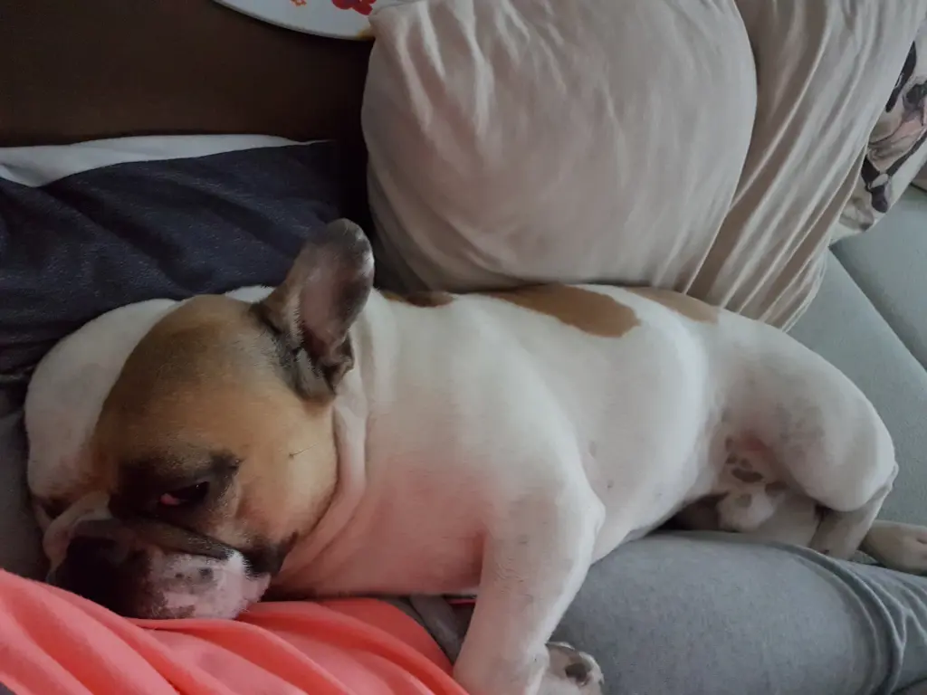 Andachtsbild von Peggy 