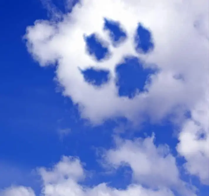 Andachtsbild von Peggy