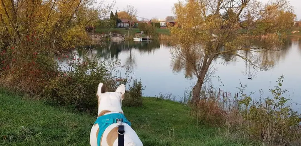 Andachtsbild von Peggy