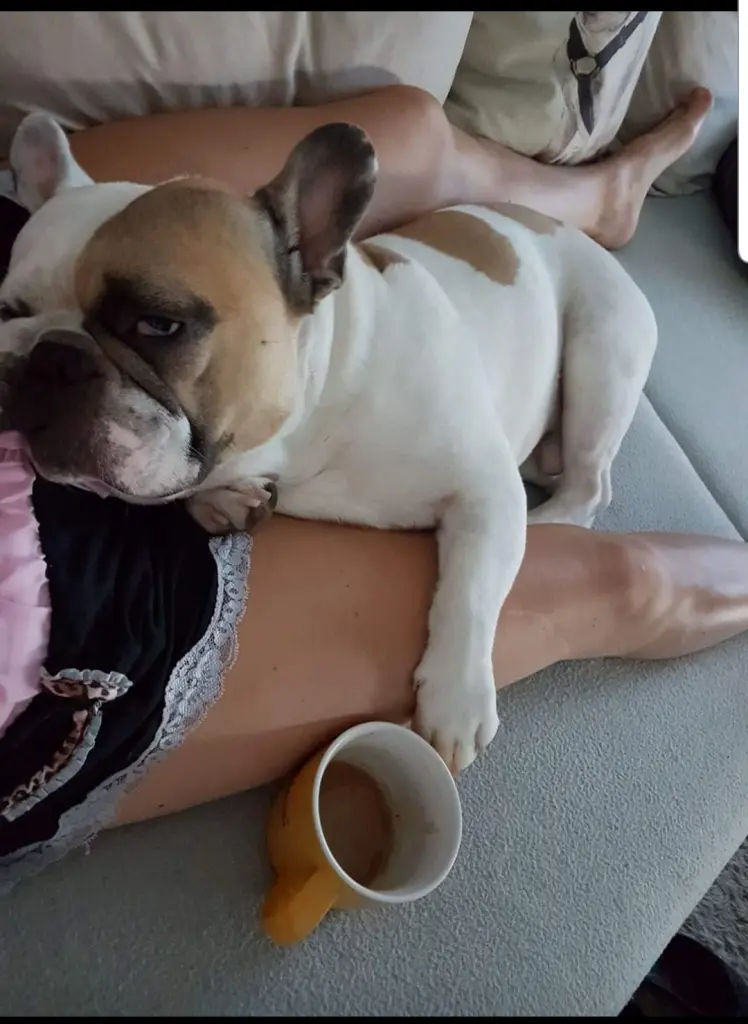 Andachtsbild von Peggy