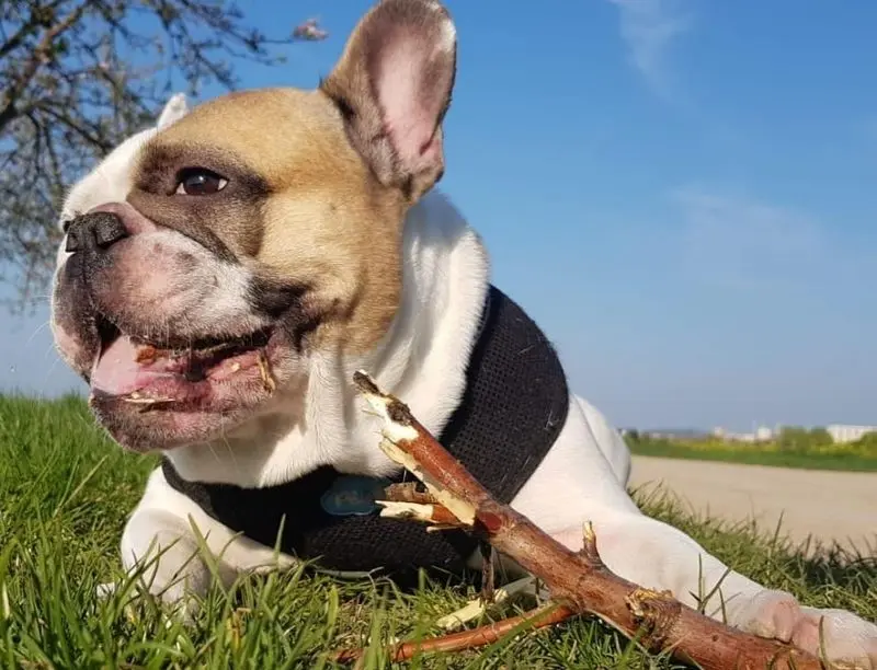 Andachtsbild von Peggy 