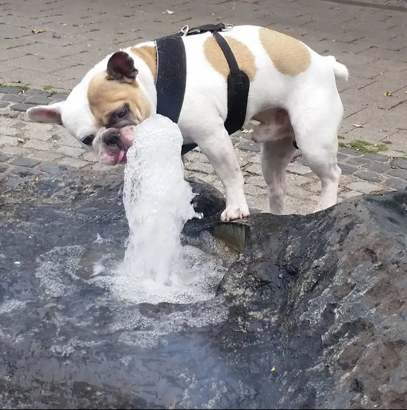 Andachtsbild von Peggy