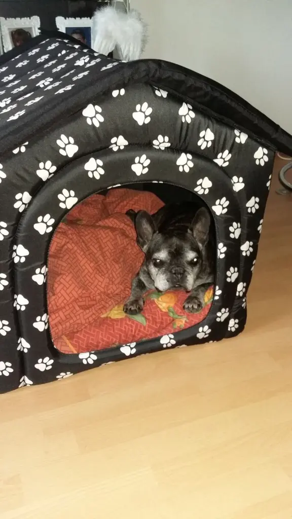 Andachtsbild von Christiane mit Nelly im Herzen