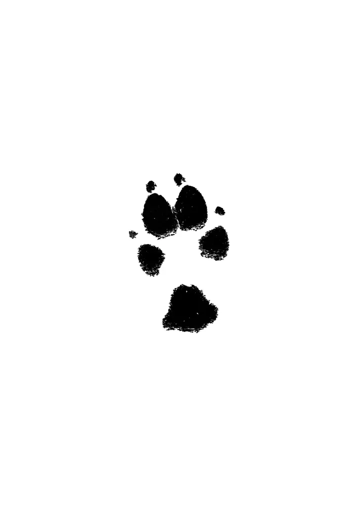 Image from Bonny