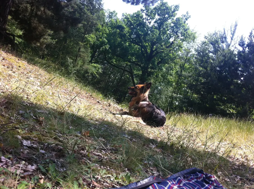 Image from Bonny