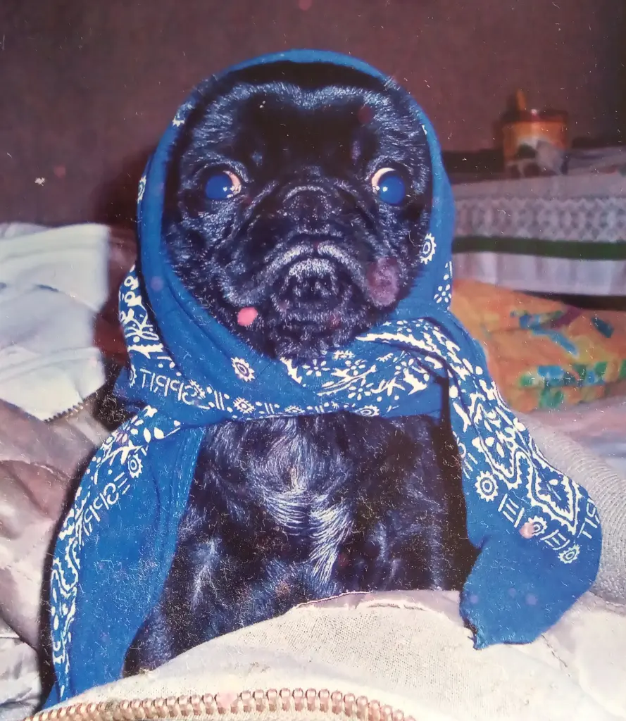 Condolence image of Elvira