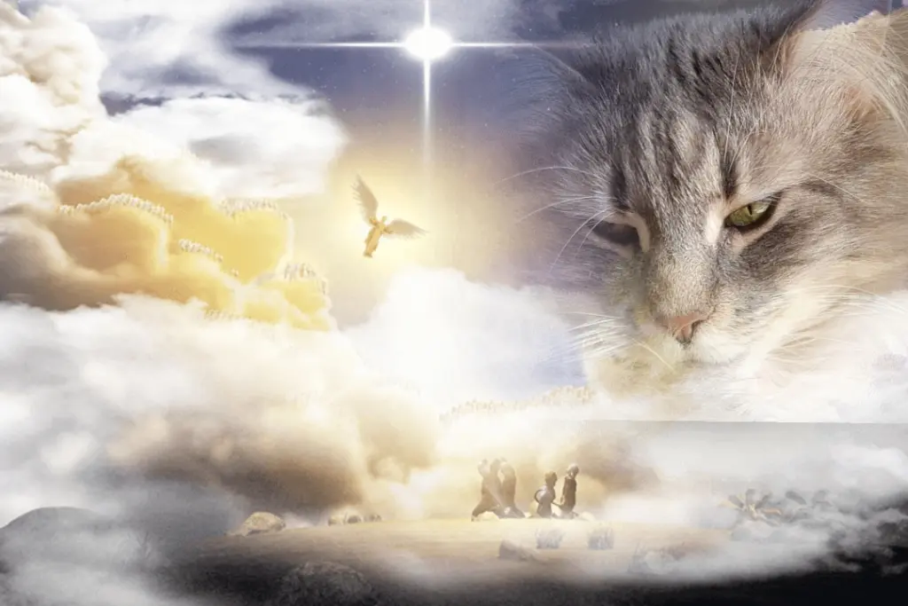 Condolence image of Iris