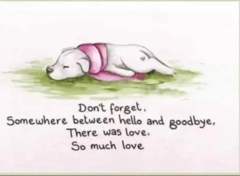Condolence image of Sabine mit Luna & Milo tief im Herzen