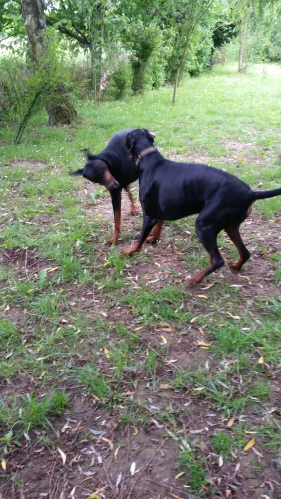 Condolence image of Luise Cline