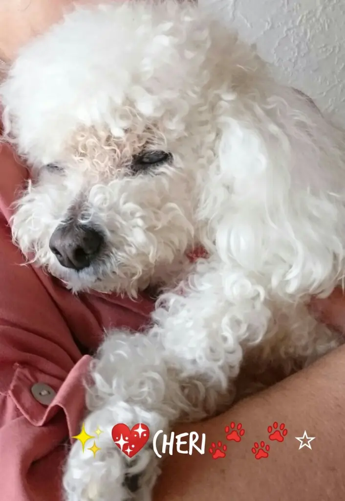 Andachtsbild von Angela