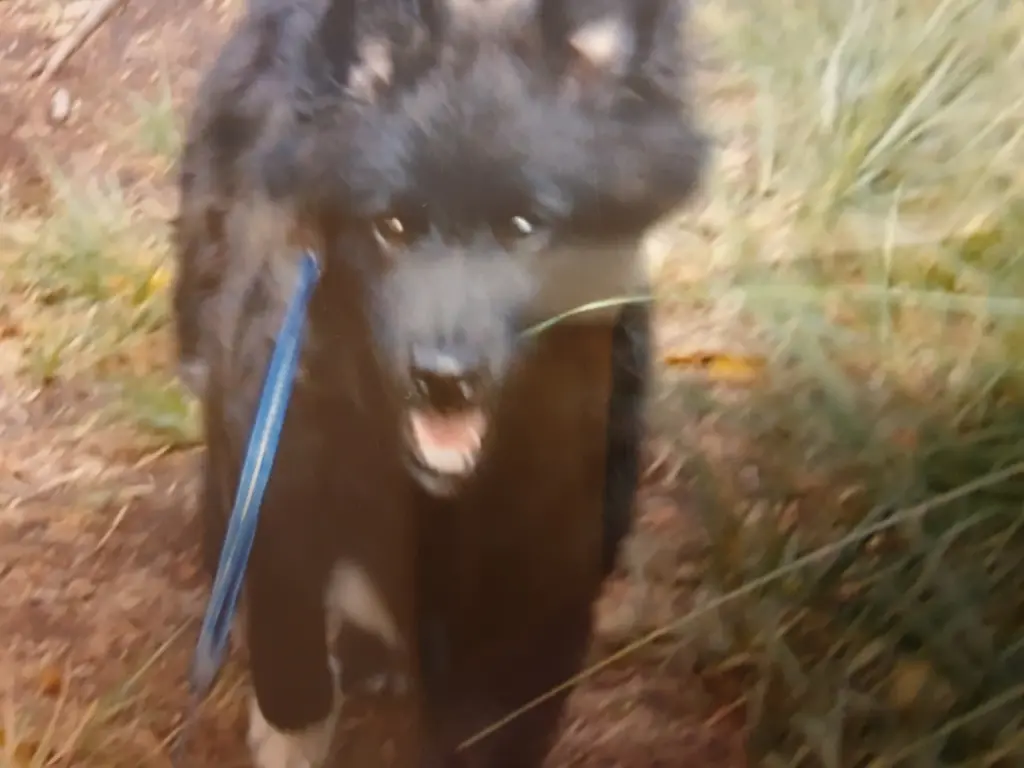 Andachtsbild von Elke mit Wolle ganz tief im Herzen 