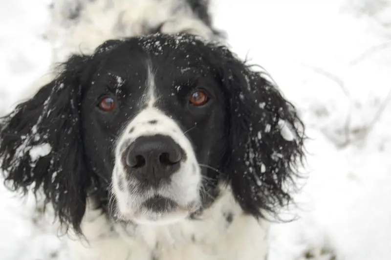 Andachtsbild von Von Annette