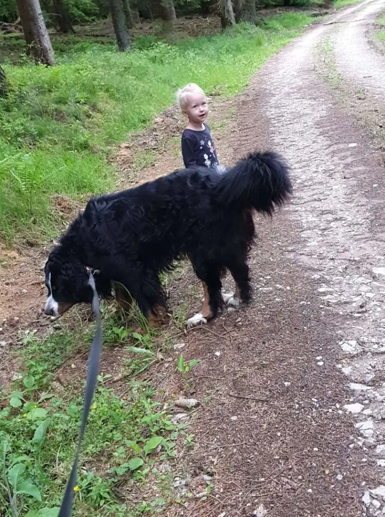 Andachtsbild von Maro cinsk