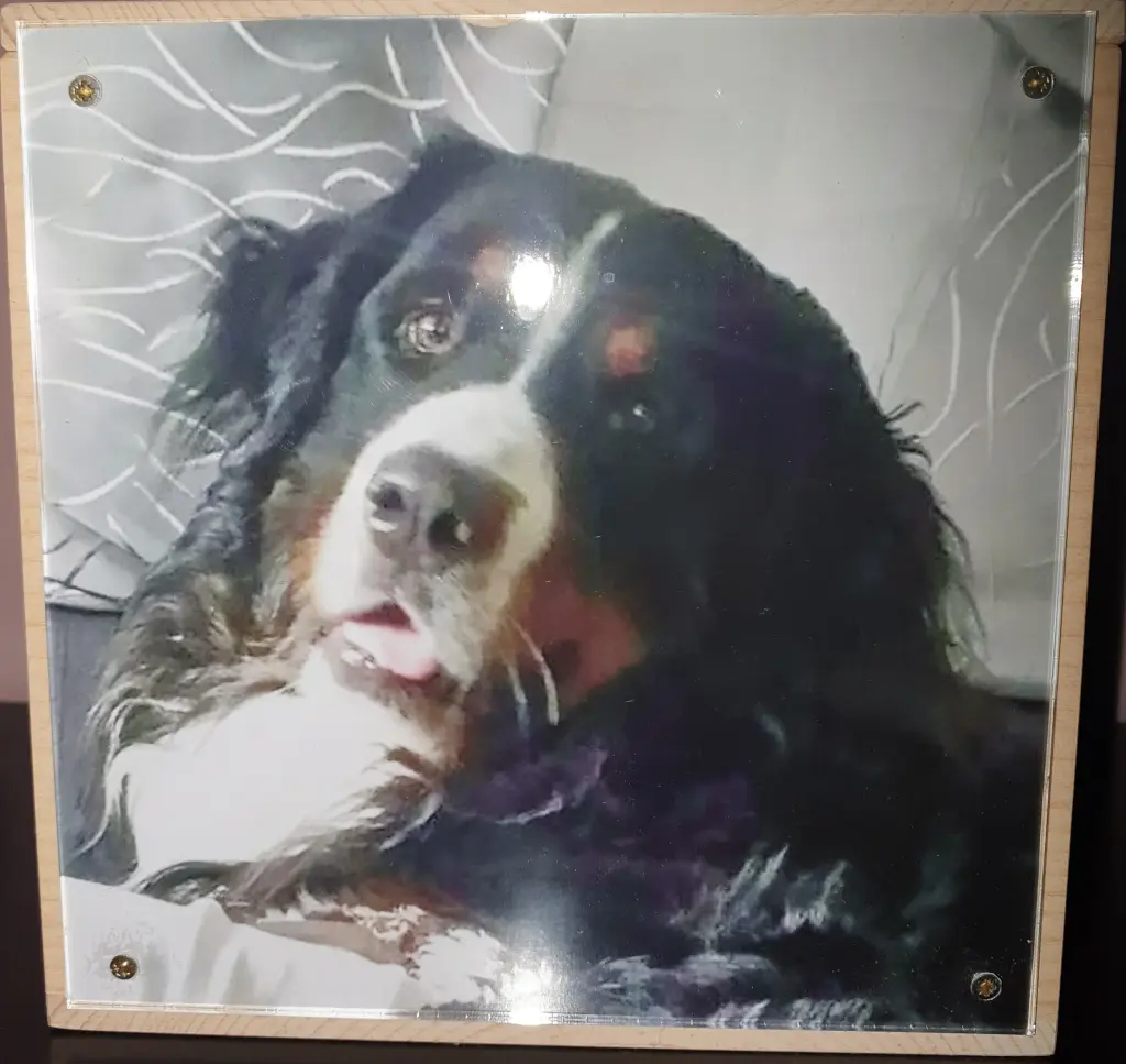 Condolence image of Carmen