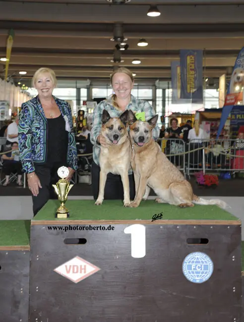 Bild von Amber Dreams Come True