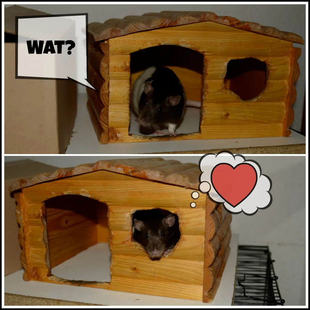 Image from Ponpon
