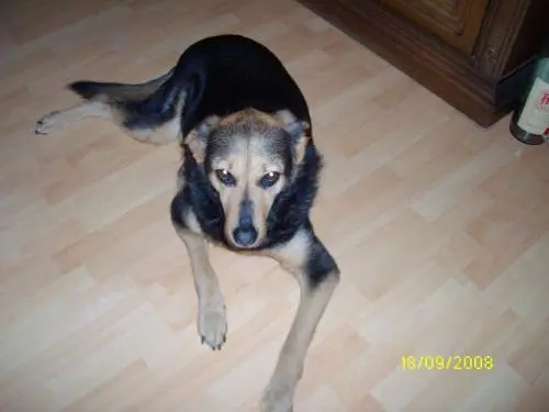 Bild von Bonny