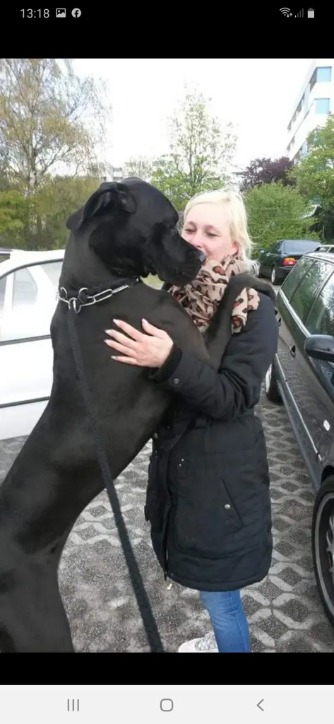 Condolence image of Saskia