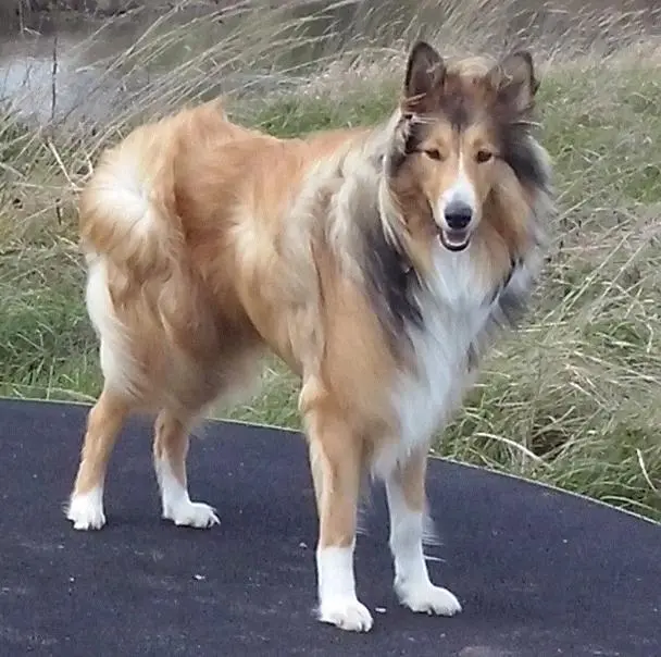 Condolence image of Unbekannt