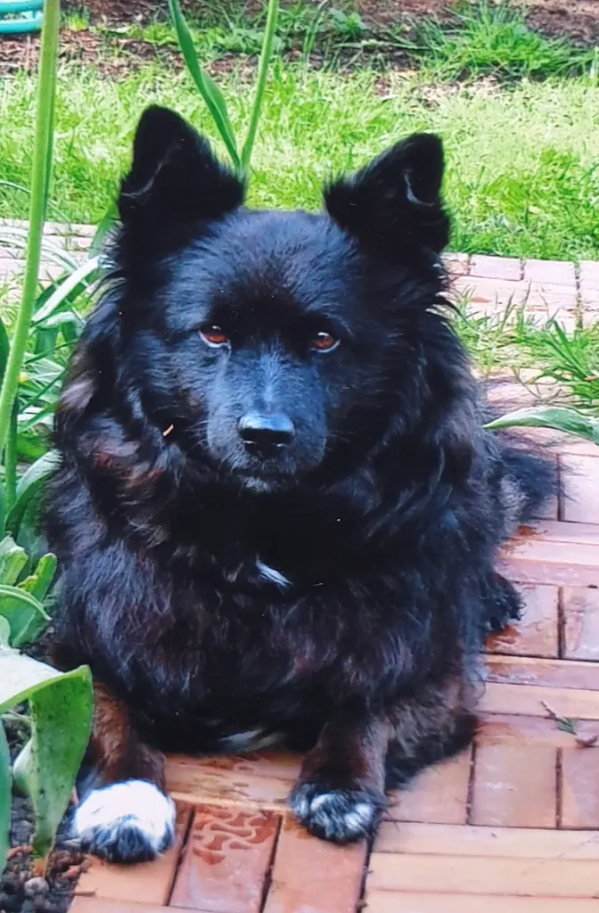 Condolence image of Elke mit Wolle tief im Herzen