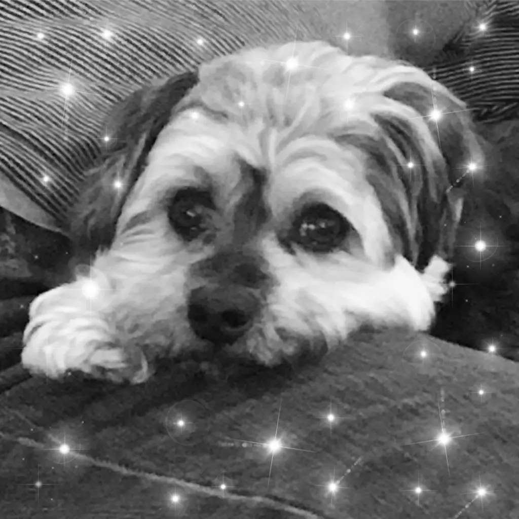 Condolence image of Astrid